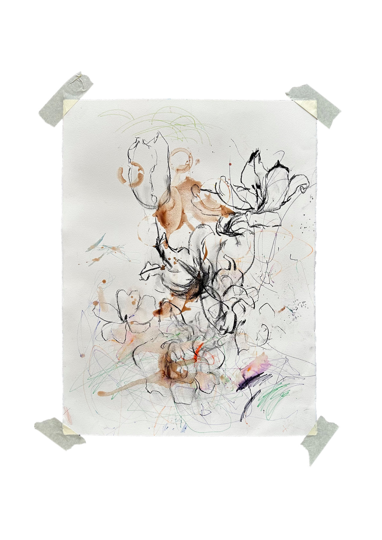 Líneas locas. 2006